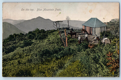 Australia Postcard On The Top Blue Mountain Peak c1910 Antique Posted