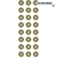 Dichtungssatz, Ventilschaft Victor Reinz 12-38546-01