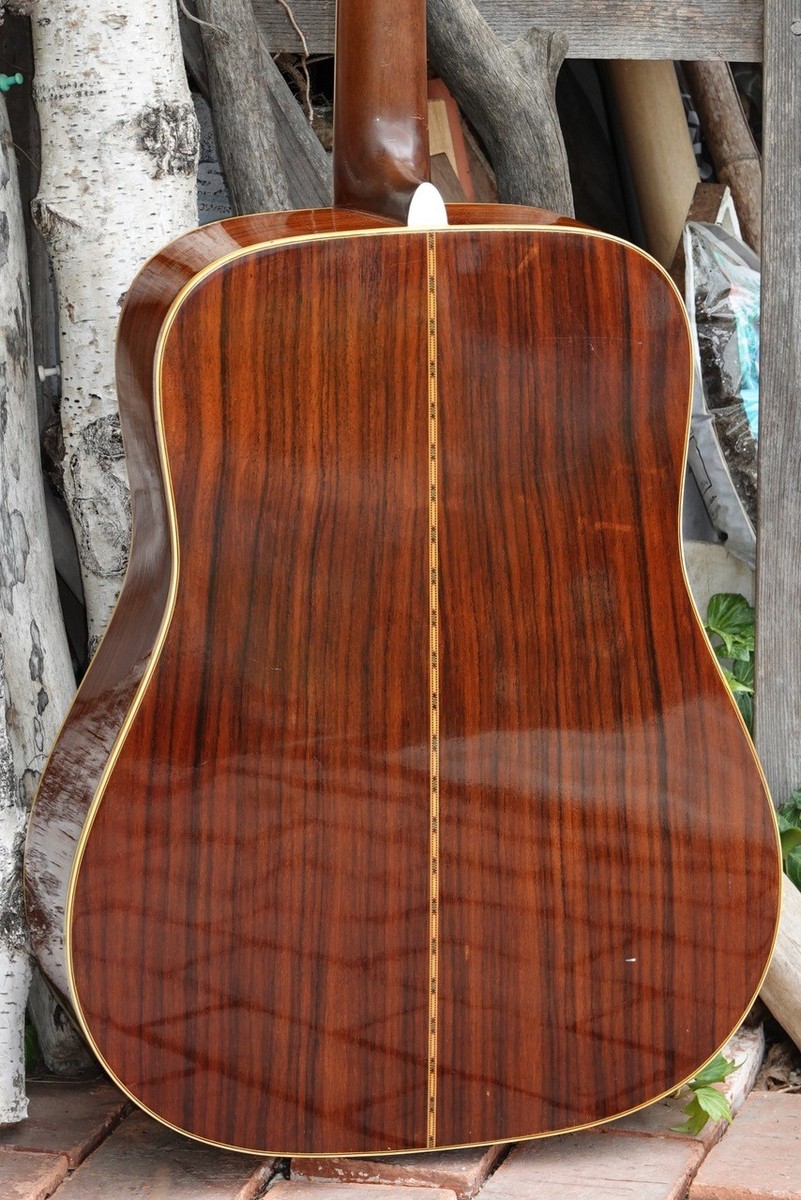 TAKAMINE ELITE TW30 アコースティックギター ハードケース付 Takamine Elite TW-30 (1975) (250329) | eBay
