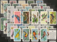 BROOKE BOND (TEA)-FULL SET- (CANADA) SONGBIRDS NORTH AMERICA (RED ROSE/BLUE RIB)
