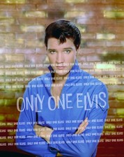 1965 ELVIS PRESLEY in the Movies (PHOTO) "GIRL HAPPY" Publicity Pose 003