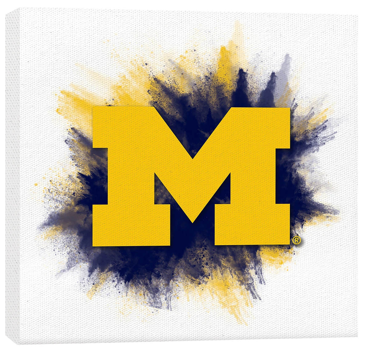 University of Michigan Color Splash Logo 11 x 11 Canvas Decorative Sign |  eBay