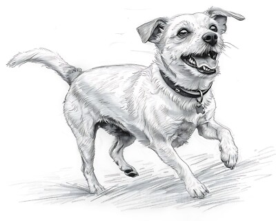 8x10 Matte Print Happy Dog Wagging Tail Pencil Sketch