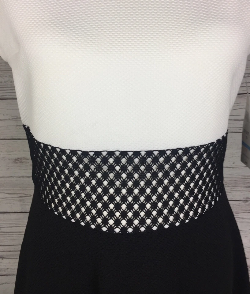 Tiana B Dress Women's Size 6 Black Ivory  Fit & Flare Stretch Crochet Waist NWT - Image 4 of 4