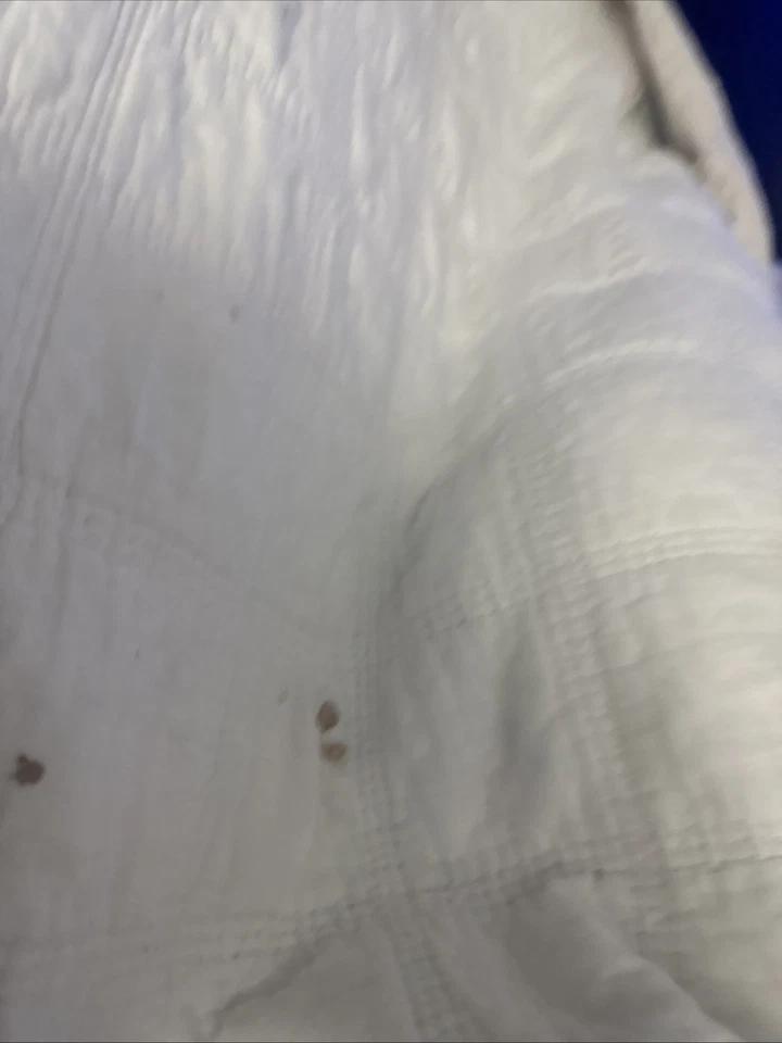 Need for Speed: Underground (Microsoft Xbox, 2003) Foto 3 de 4