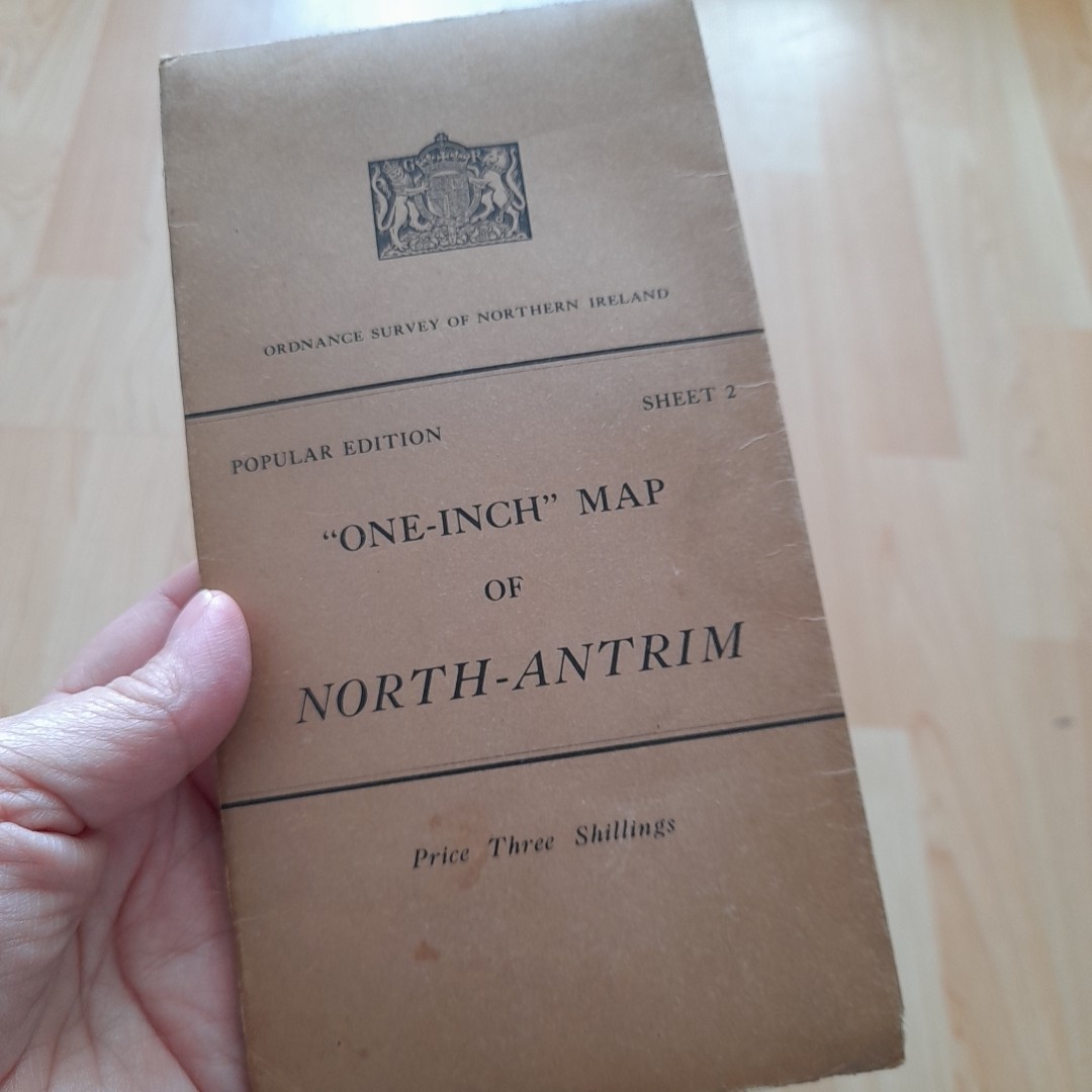 Surveyor Market Item for Sale