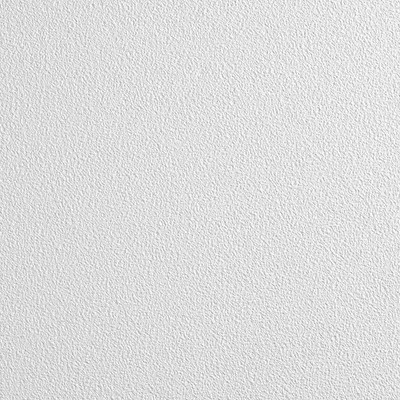ARMSTRONG 589BN Ceiling Tile,24 in L,24 in W,PK12 5NGK4