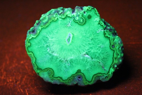 Especie coleccionista de ágata Puma (fluorescente) - Imagen 2 de 7