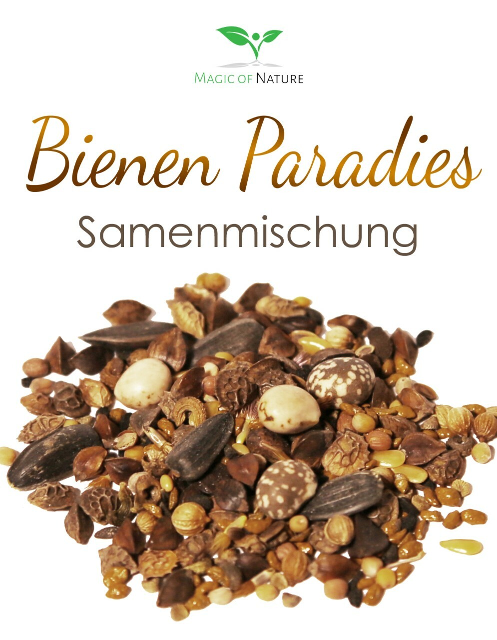 Bild 27 von 32
