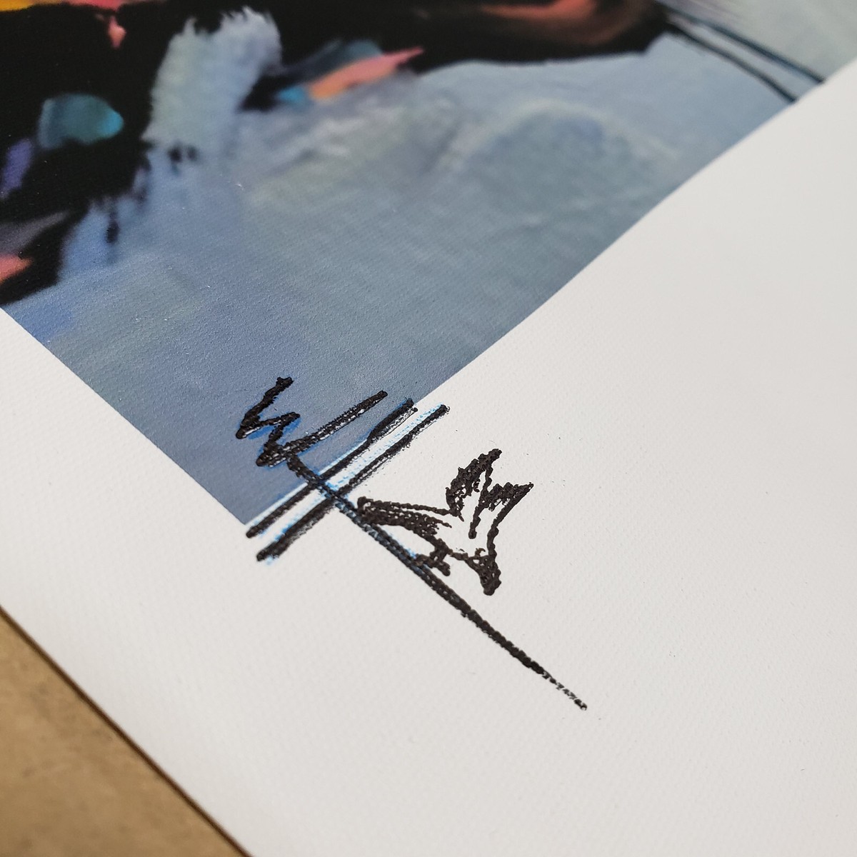 PRINT Hawkins Raven Skull Art Canvas Reproduction Impressionism