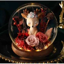 Wholesale Eternal True Flower Rose under Glass Dome in Deer Box