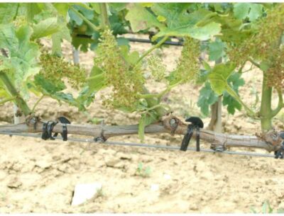 Legacci Elastici In EDPM Per Tutti I Tipi Di Piante Confezione 500 Gr Bandofix - Lunghezza 12 Cm - Foto 4