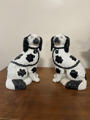 Pr Black & White Staffordshire Spaniel Dogs 