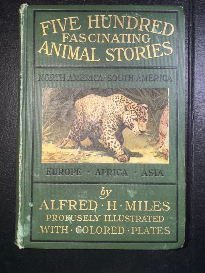 1907 WILD LIFE ANIMALS NATURAL HISTORY ZOOLOGY BIRDS FISH MAMMALS COLOR PLATES Foto 2 de 4