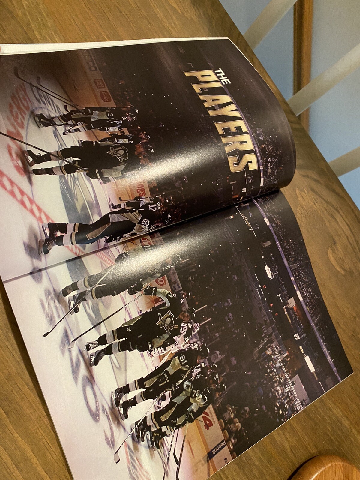 pittsburgh-penguins-charity-bag-penguins-yearbook-ebay
