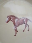 Foto 6 di 7