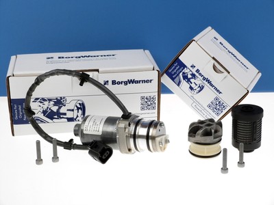 BORGWARNER Vorladepumpe Filter Set Haldex Gen IV Lamellenkupplung 0AY598549A