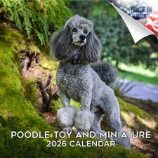 Poodle - Toy and Miniature Dog Breed Calendar 2026 FULL SIZE 12x24 Made in USA