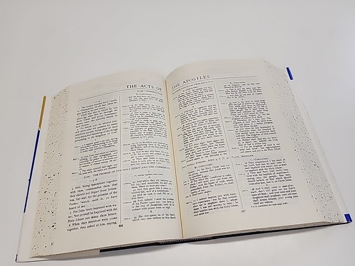 DIE REFERENZSTELLE BIBEL Neutestamentliche Gelehrte, Lehrer, Prediger, HC - Bild 16 von 24