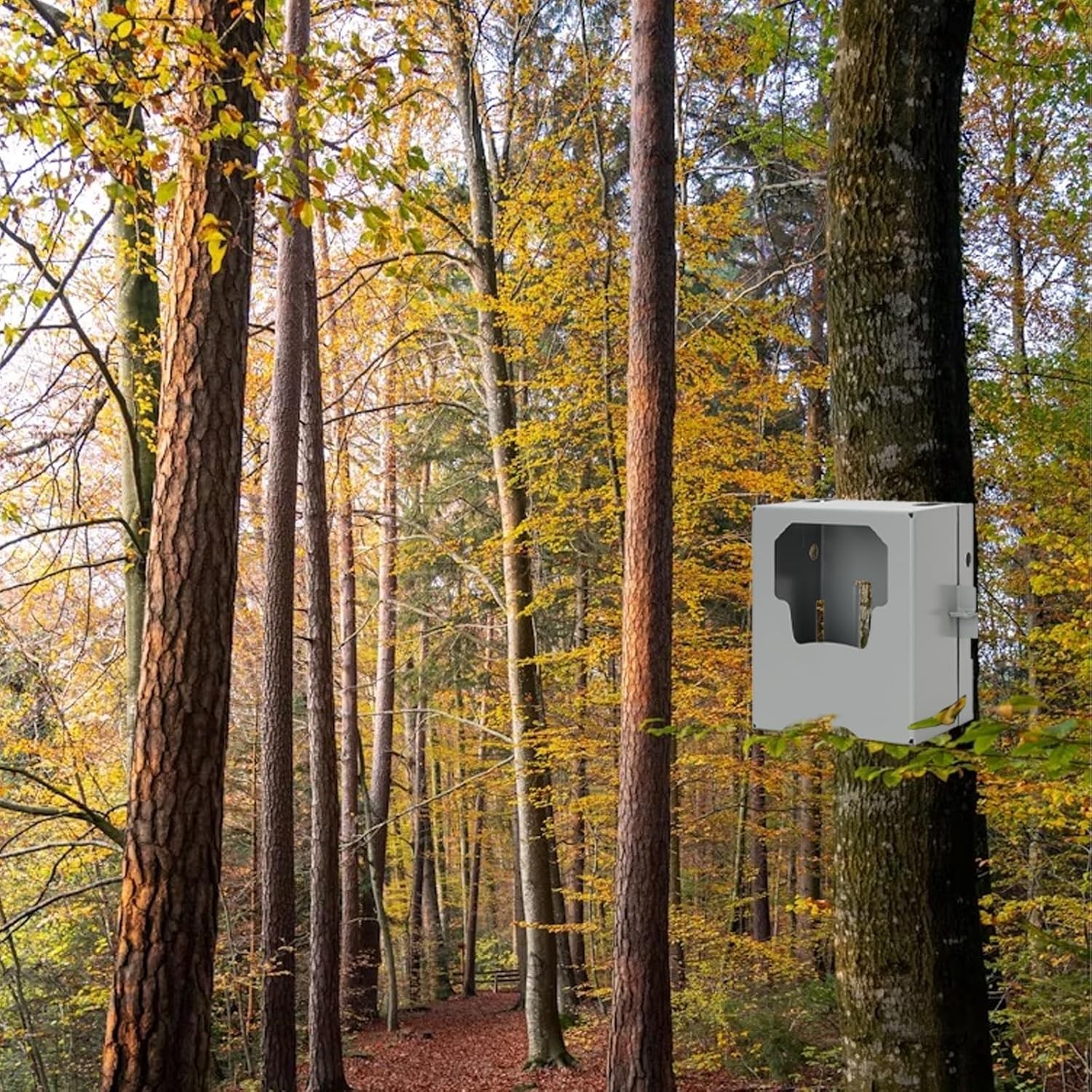 Metal Security Box for Moultrie Edge Cellular Trail Camera &ndash; 16-Gauge Steel