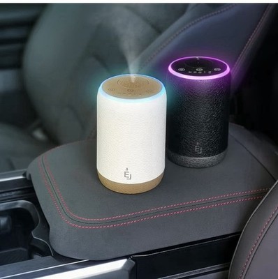 Earnest Living Diffusor für ätherische Öle Auto Luftreiniger Wiederaufladbar Wasserlos