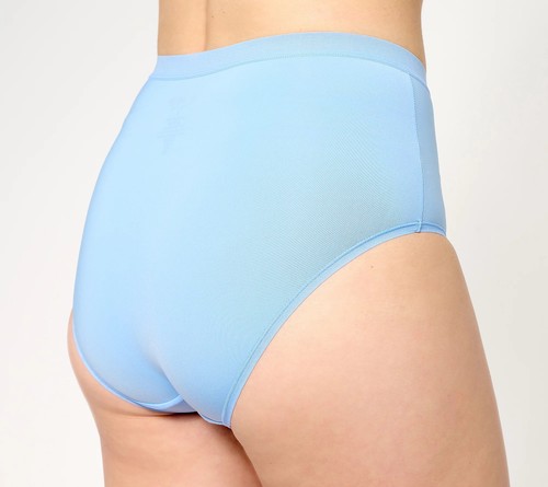 All Worthy Hunter McGrady All Worthy of 2 Mesh Trim Brief Sets Vista Blue L New - Picture 3 of 3
