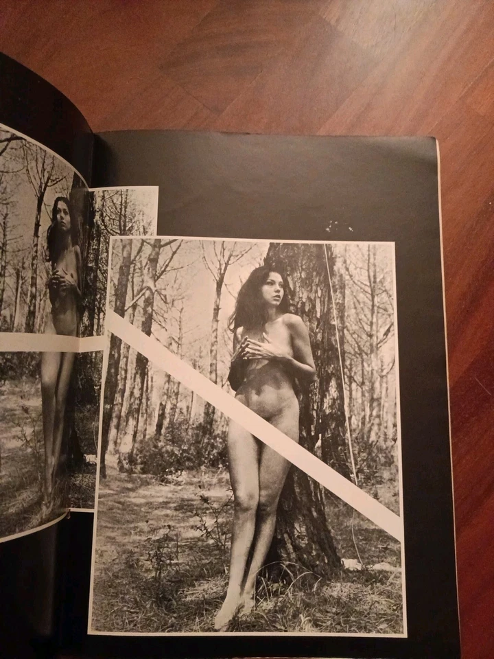 TAMARA il Giallo di Parma SUPPLEMENTO LA DONNA NEL MONDO - 1970 - Immagine 4 di 4