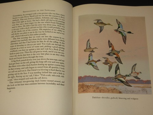 Shotgunning in the Lowlands RAY P. HOLLAND 1945 Duck/Goose Shooting - Foto 9 di 10