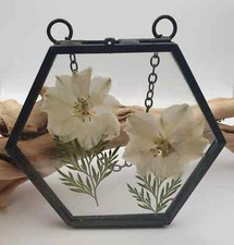 Wall Art Dried Pressed Real Flowers in Glass frame hexagon 3.5 in handmade gift