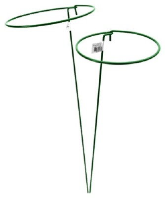 89344GT 6'' x 36'' Green Single Loop Gathering Ring Metal Plant Supports - 24 Pack