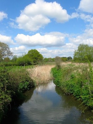 Photo 6x4 Chess Brook Henfield/TQ2116 A tributary of the eastern branch  c2017