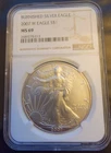 2007-W American Eagle NGC MS-69 Burnished TONED Rare-0.999 Silver 1 Oz Art Coin