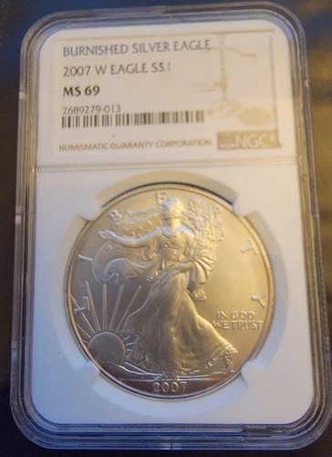 2007-W American Eagle NGC MS-69 Burnished TONED Rare-0.999 Silver 1 Oz Art Coin