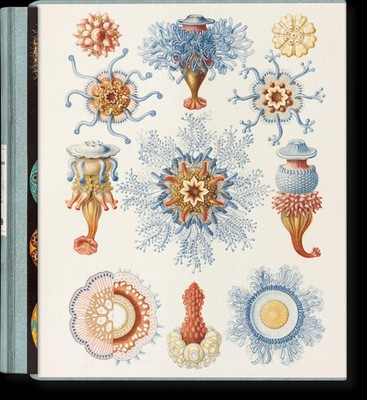 The Art and Science of Ernst Haeckel | Julia Voss (u. a.) | Buch | Schuber