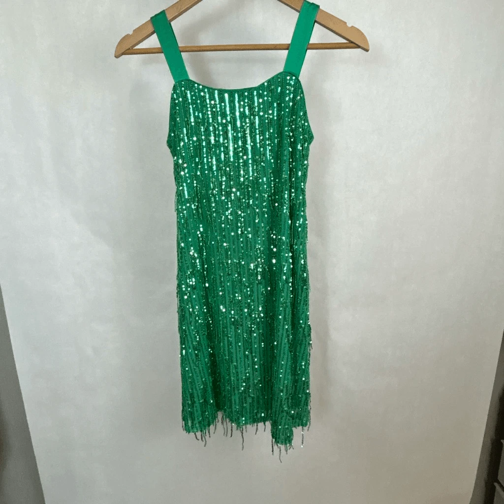 Xtraordinary Girls Sleeveless Fringe Sequin Party Dress Sz 16 Green
Opens in a new window or tab