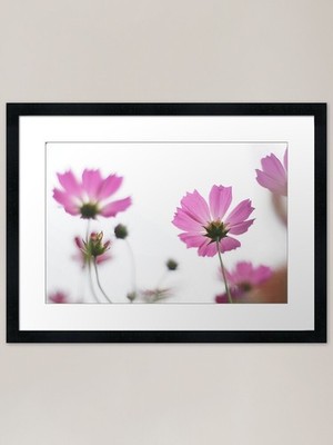 Cosmos Framed Art Print Framed Wall Art Poster Canvas Print Picture