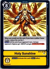 Holy Sunshine Common Dimensional Phase BT11-101 C NM