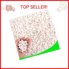 CJGQ White Pebbles for Plants Garden Vases 3 lb White Rocks Gravel Decorative St