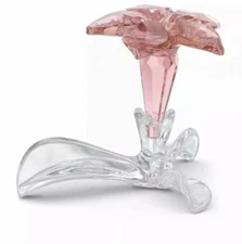 Swarovski SCS 2021 Desert Rose Crystal Figurine -5557915 New