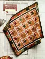 Picture Perfect Quilt Pattern Pieced/Applique JW