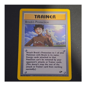 Pokemon Trainers Brock | eBay