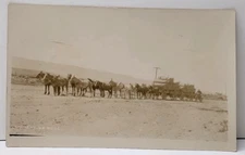 RPPC Twelve Horse Team FREIGHTING THE WOOL Horse Drawn Wagons c1907 Postcard E19