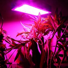 1000W Full Spectrum LED Grow light For Flower Plants Veg and indoor plants