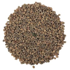 100% Natural Organic Celery Seeds Ajmod Beej Apium Graveolens Tukhme