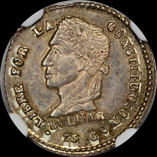 BEAUTIFUL & ORIGINAL TONED 1860 PTS FJ BOLIVIA 1/2 SOL NGC MS63 PERIOD VARIETY 