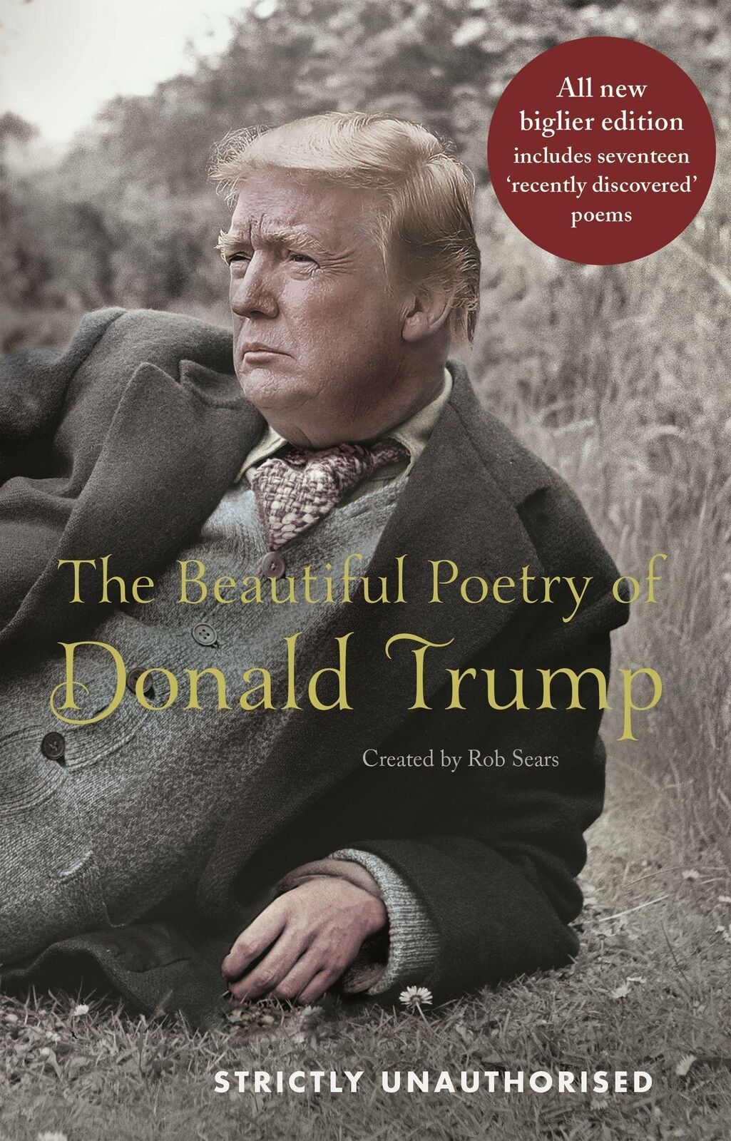 Thumbnail - Rob Sears | The Beautiful Poetry Of Donald Trump | Buch | Englisch