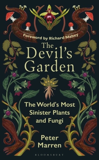 Devils Garden