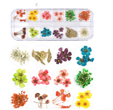 Nail Decoration Nail Art Accessories Nail Art Immortal Dried Flowers DIY