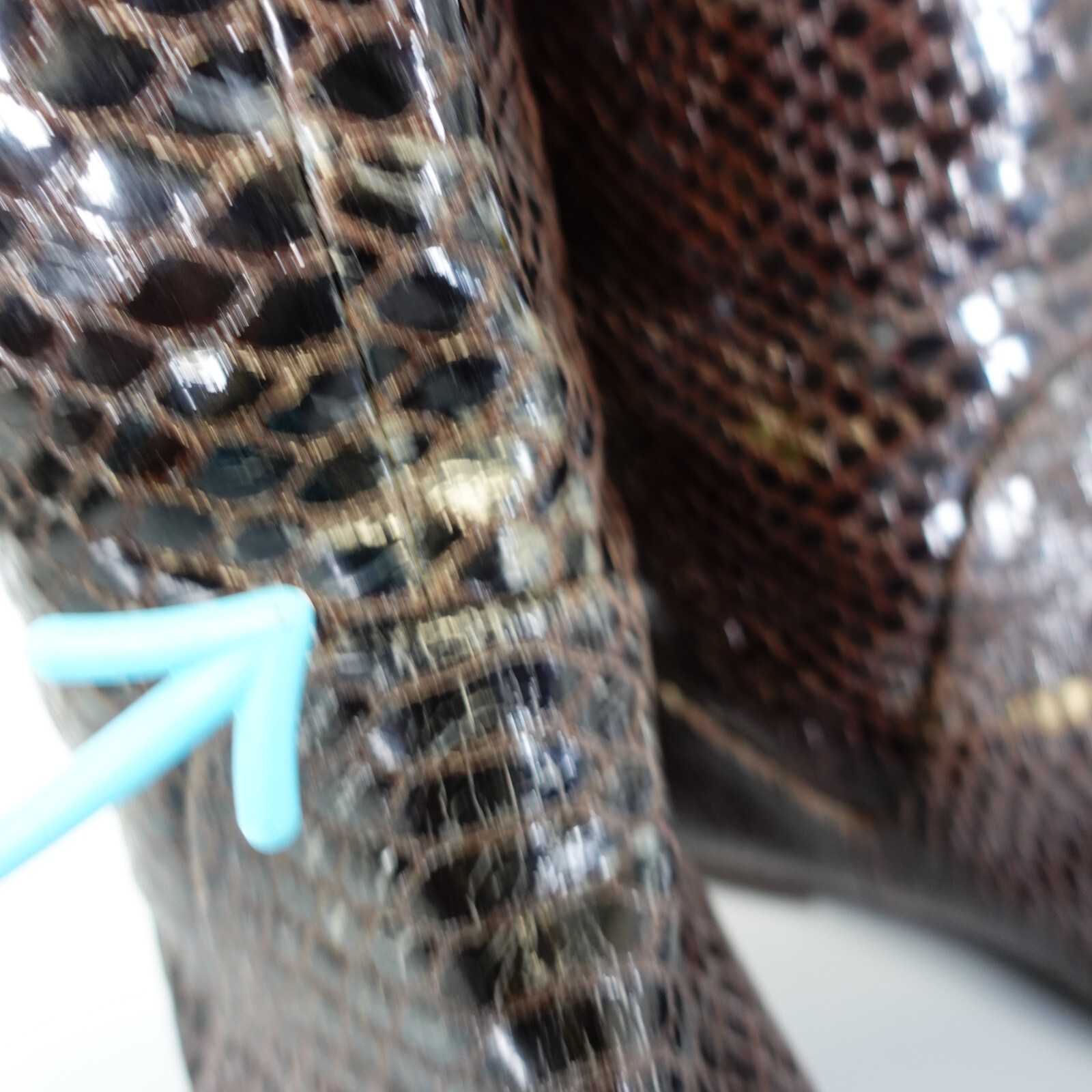 Giuseppe Zanotti Boots Leather 39 8 Flat Western Knee High Tall Snakeskin Snake image 10
