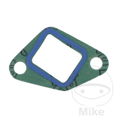 Athena Timing Chain Tensioner Gasket